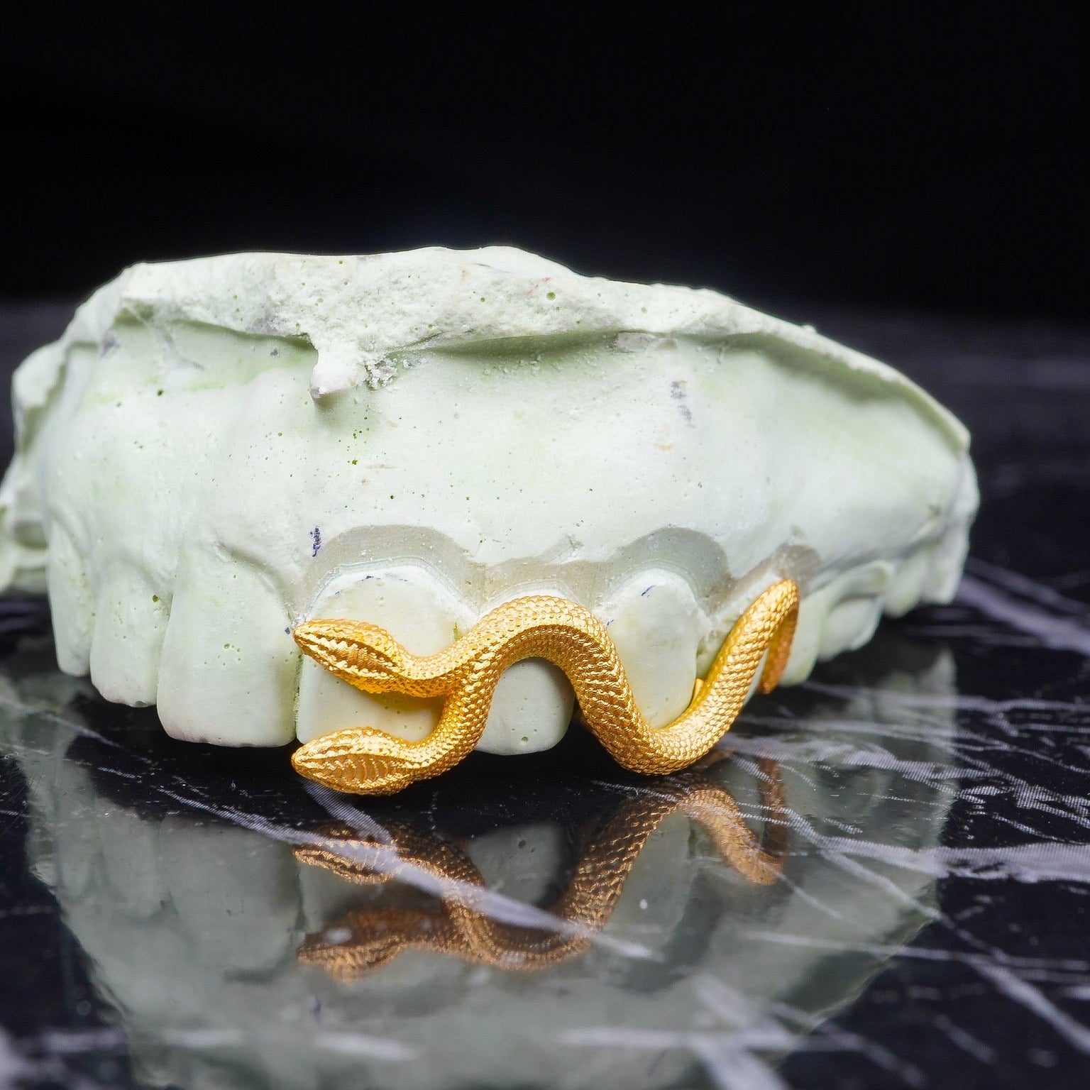 Double Head Serpent Grillz