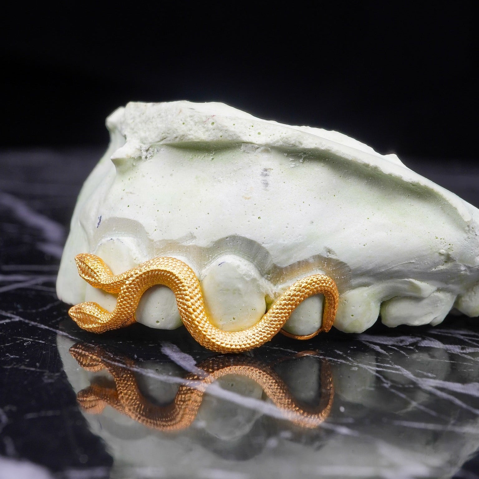 Double Head Serpent Grillz