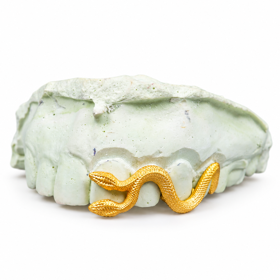 Double Head Serpent Grillz