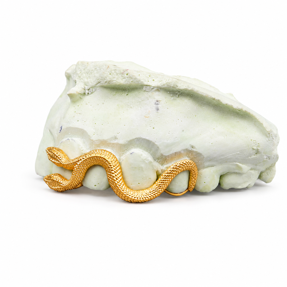 Double Head Serpent Grillz