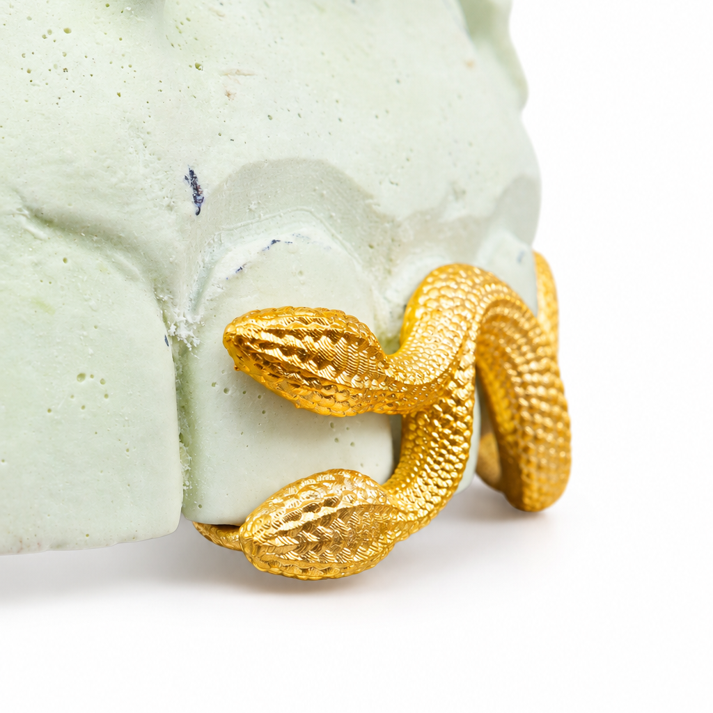 Double Head Serpent Grillz