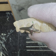 Solid Gold Shooting Star Grill